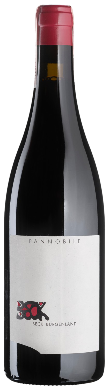 Pannobile 2015